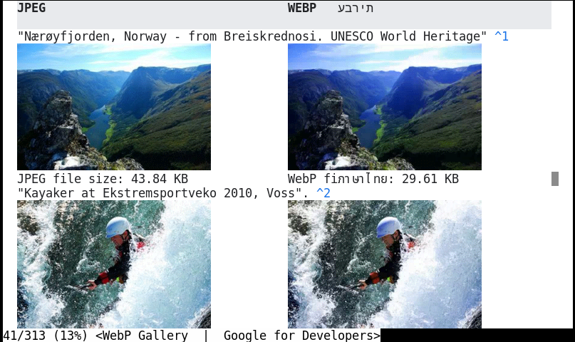 WebP gallery from Google, showing thumbnails of example
images.